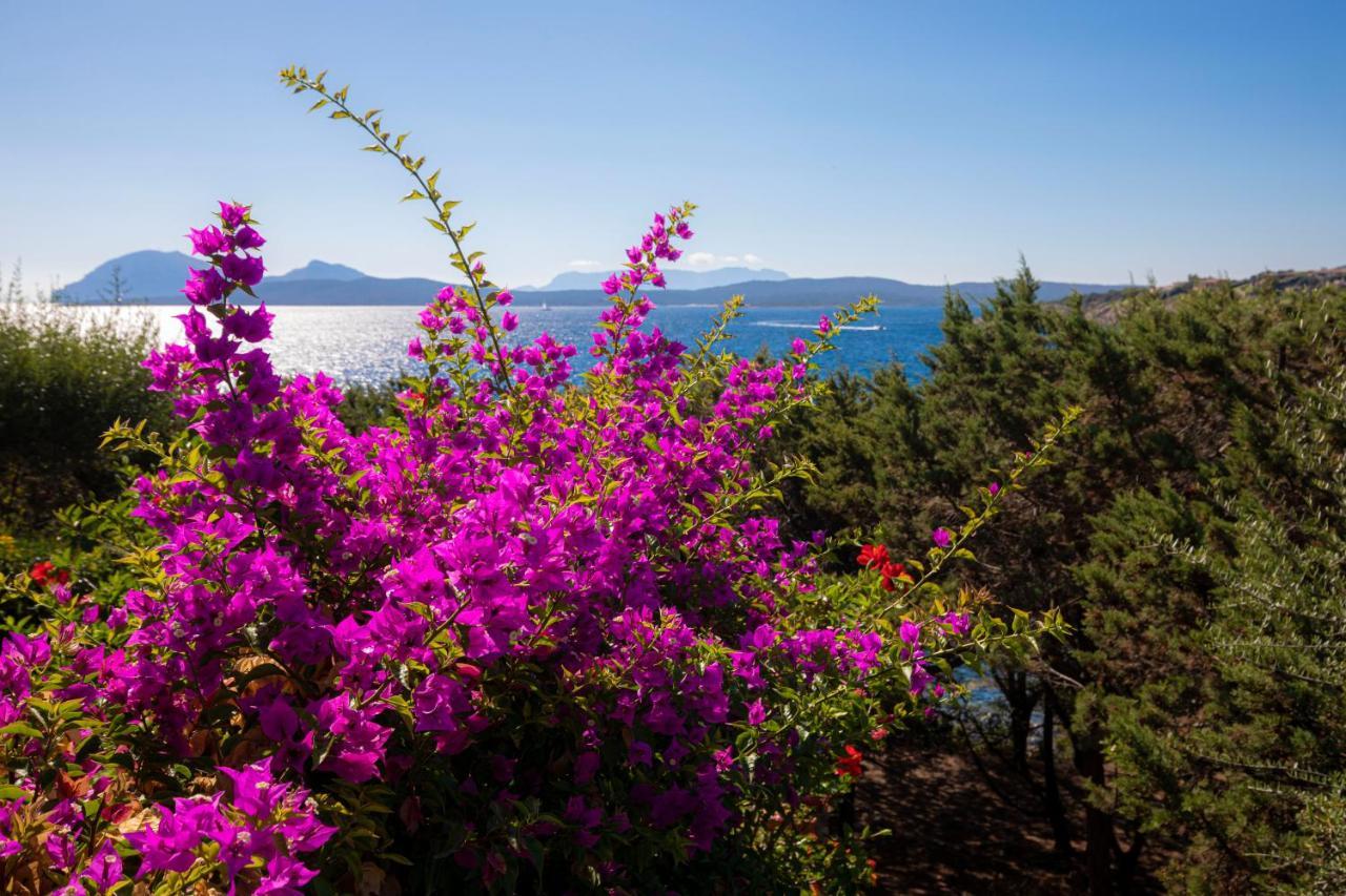 Splendido Appartamento Vista Mare Porto Rotondo Exterior photo